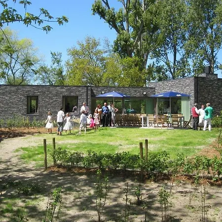 Duinpaviljoen Hébergement de vacances